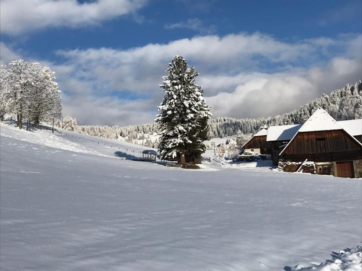 Wohlfuehlpension Kreischberg Inklusive Murau Sommergaestecard Ab 2 Naechte Sankt Georgen ob Murau Exterior foto