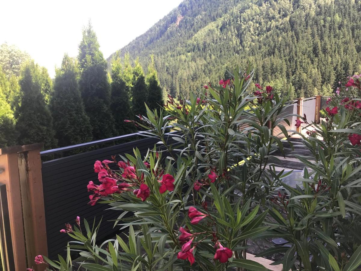 Wohlfuehlpension Kreischberg Inklusive Murau Sommergaestecard Ab 2 Naechte Sankt Georgen ob Murau Exterior foto