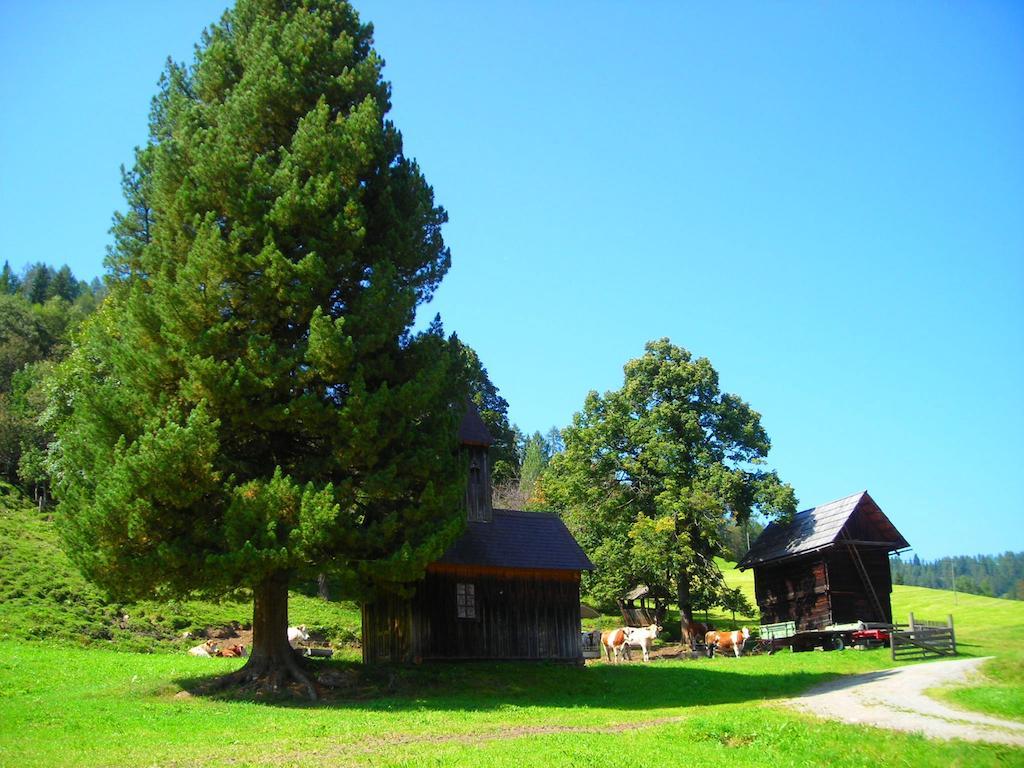 Wohlfuehlpension Kreischberg Inklusive Murau Sommergaestecard Ab 2 Naechte Sankt Georgen ob Murau Exterior foto