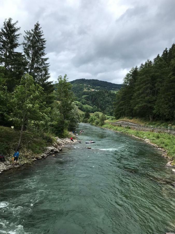 Wohlfuehlpension Kreischberg Inklusive Murau Sommergaestecard Ab 2 Naechte Sankt Georgen ob Murau Exterior foto
