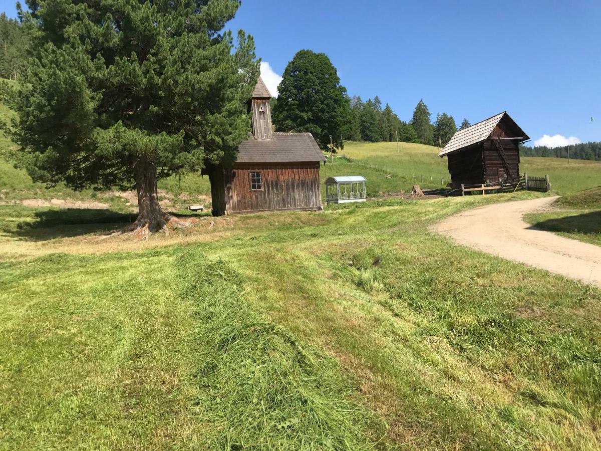 Wohlfuehlpension Kreischberg Inklusive Murau Sommergaestecard Ab 2 Naechte Sankt Georgen ob Murau Exterior foto