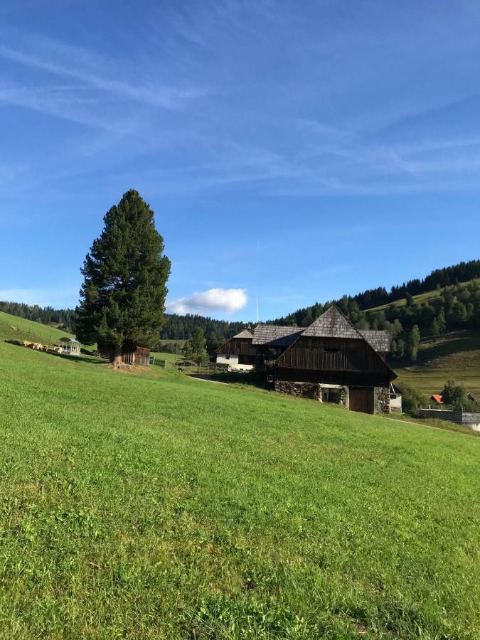 Wohlfuehlpension Kreischberg Inklusive Murau Sommergaestecard Ab 2 Naechte Sankt Georgen ob Murau Exterior foto